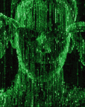 pic for The Matrix neoen coding